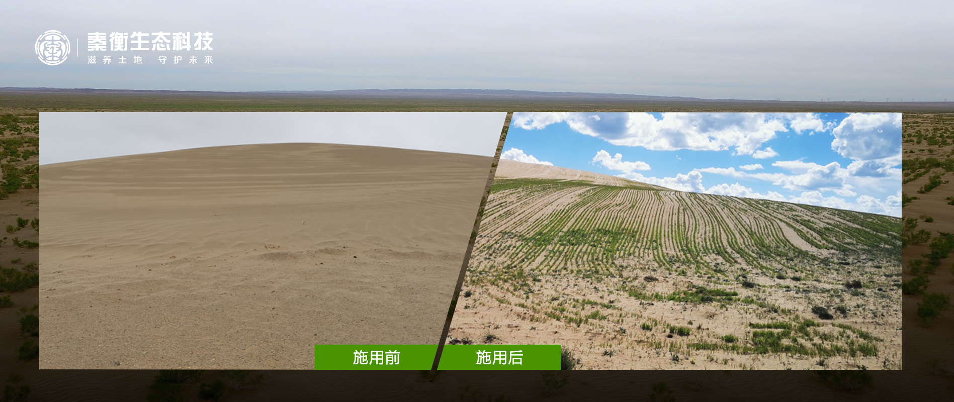 青海省 瑪多縣 黃河鄉沙化地治理